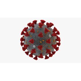 3D Coronavirus